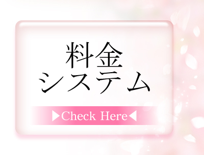 料金システム